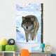 wolf Wall Mural