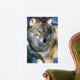 Wolf in Sweden Wall Mural