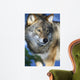 Wolf in Sweden Wall Mural
