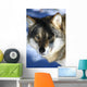 wolf Wall Mural