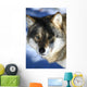 wolf Wall Mural