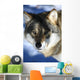 wolf Wall Mural