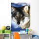 wolf Wall Mural