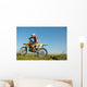 Cross Country Wall Mural