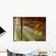 Autumn Wall Mural