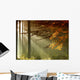 Autumn Wall Mural