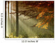 Autumn Wall Mural
