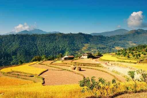 Himalayan Village Wall Decal