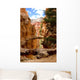 Bryce Canyon Wall Mural
