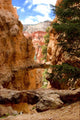 Bryce Canyon Wall Mural