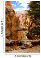 Bryce Canyon Wall Mural