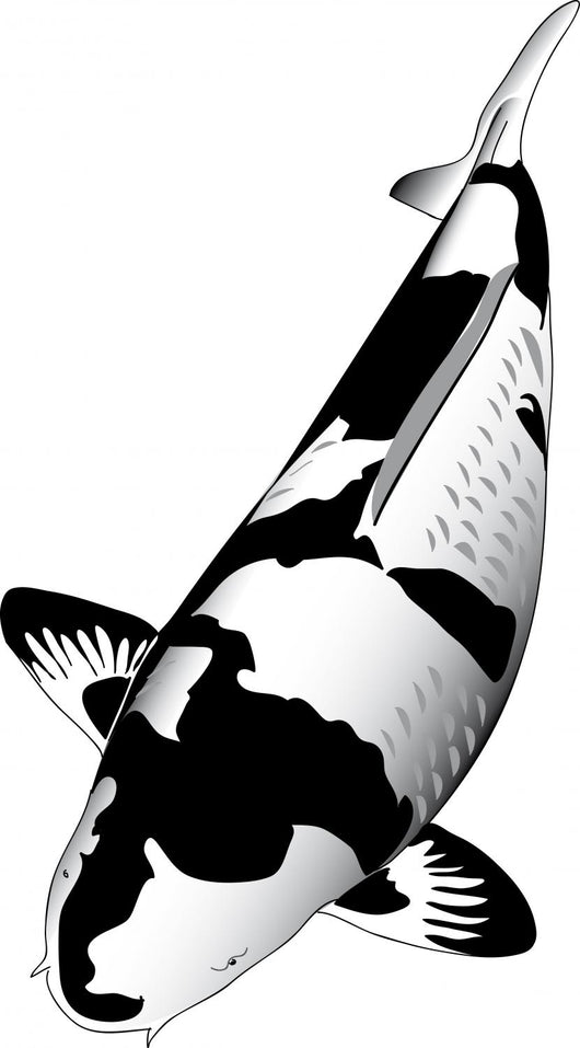 Black Koi Wall Decal