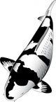 Black Koi Wall Decal