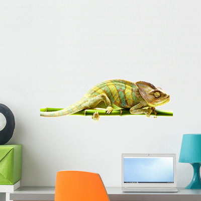 Chameleon Wall Decal shown on a wall