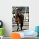 Horse Wall Mural