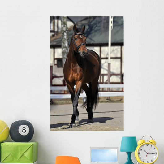 Horse Wall Mural