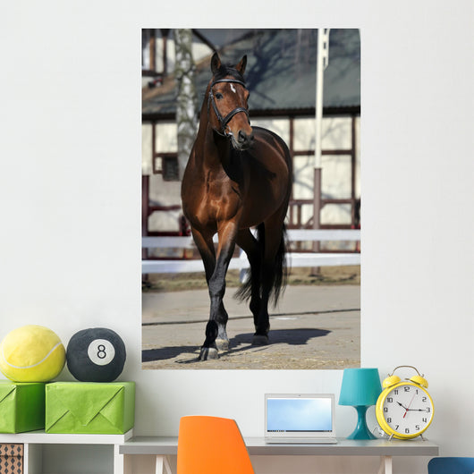 Horse Wall Mural