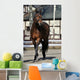 Horse Wall Mural