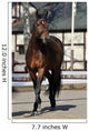 Horse Wall Mural