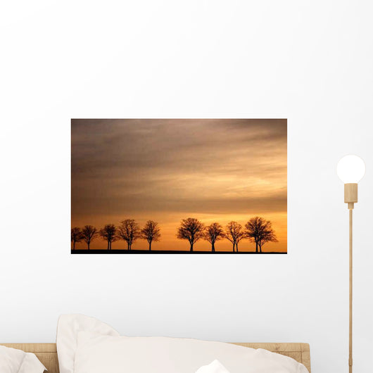 Avenue Sunset Wall Decal