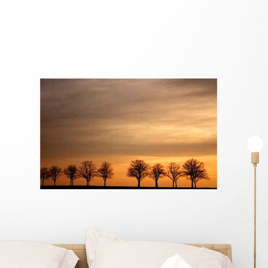 Avenue Sunset Wall Decal