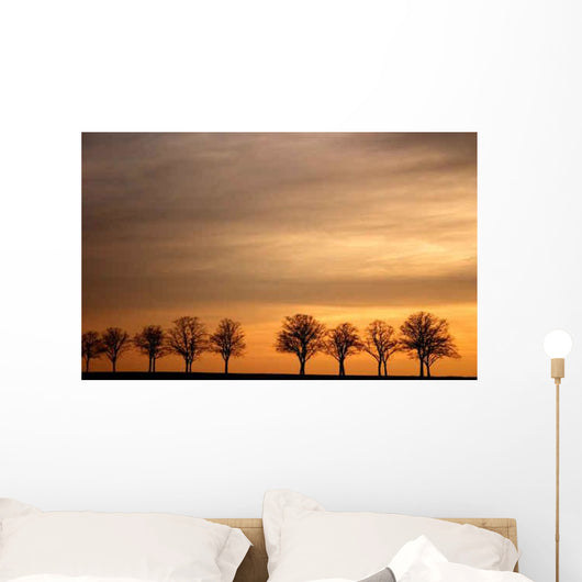 Avenue Sunset Wall Decal