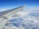 Wing Wall Decal