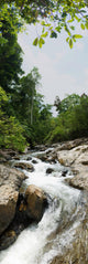 river waterfall vertical Wall Mural