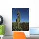 lone saguaro cactus Wall Mural
