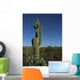 lone saguaro cactus Wall Mural