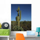 lone saguaro cactus Wall Mural