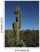 lone saguaro cactus Wall Mural