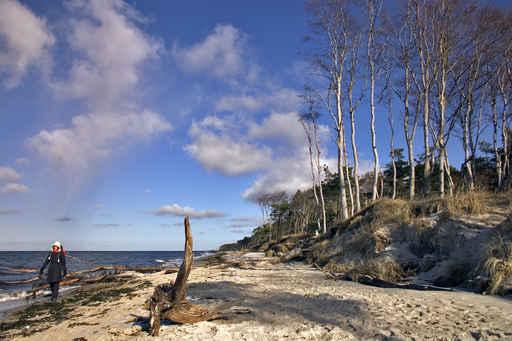 Walk Beach Wall Decal