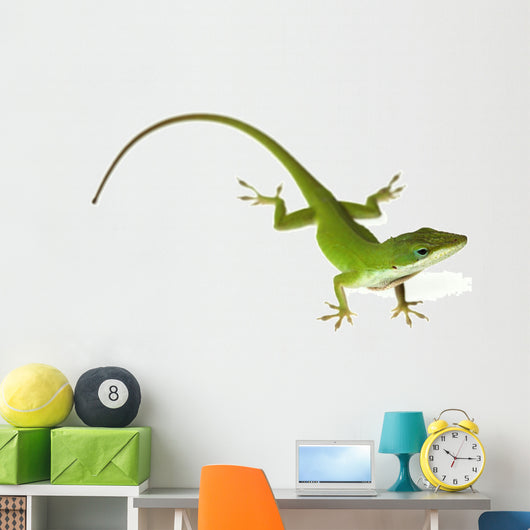 Lizard Wall Decal
