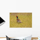 Pheasant Wall Mural
