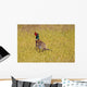 Pheasant Wall Mural