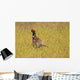 Pheasant Wall Mural
