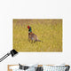 Pheasant Wall Mural