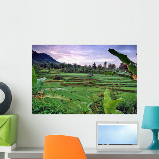 Rice Field Wall Decal