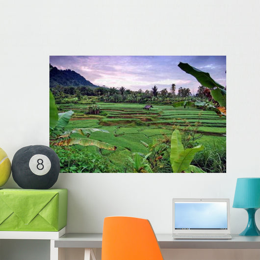 Rice Field Wall Decal