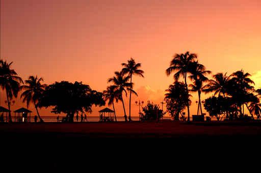 Sunset Wall Decal Design 6