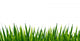Grass Wall Decal