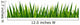 Grass Wall Decal