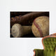 baseball equipment Wall Mural