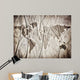 Map of the Earth on the Paper Wall Mural