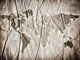 Map of the Earth on the Paper Wall Mural