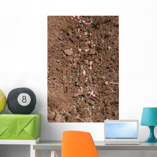 Pea Seed and Fertilizer Wall Decal