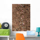 Pea Seed and Fertilizer Wall Decal