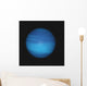 Neptune Wall Mural