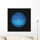 Neptune Wall Mural